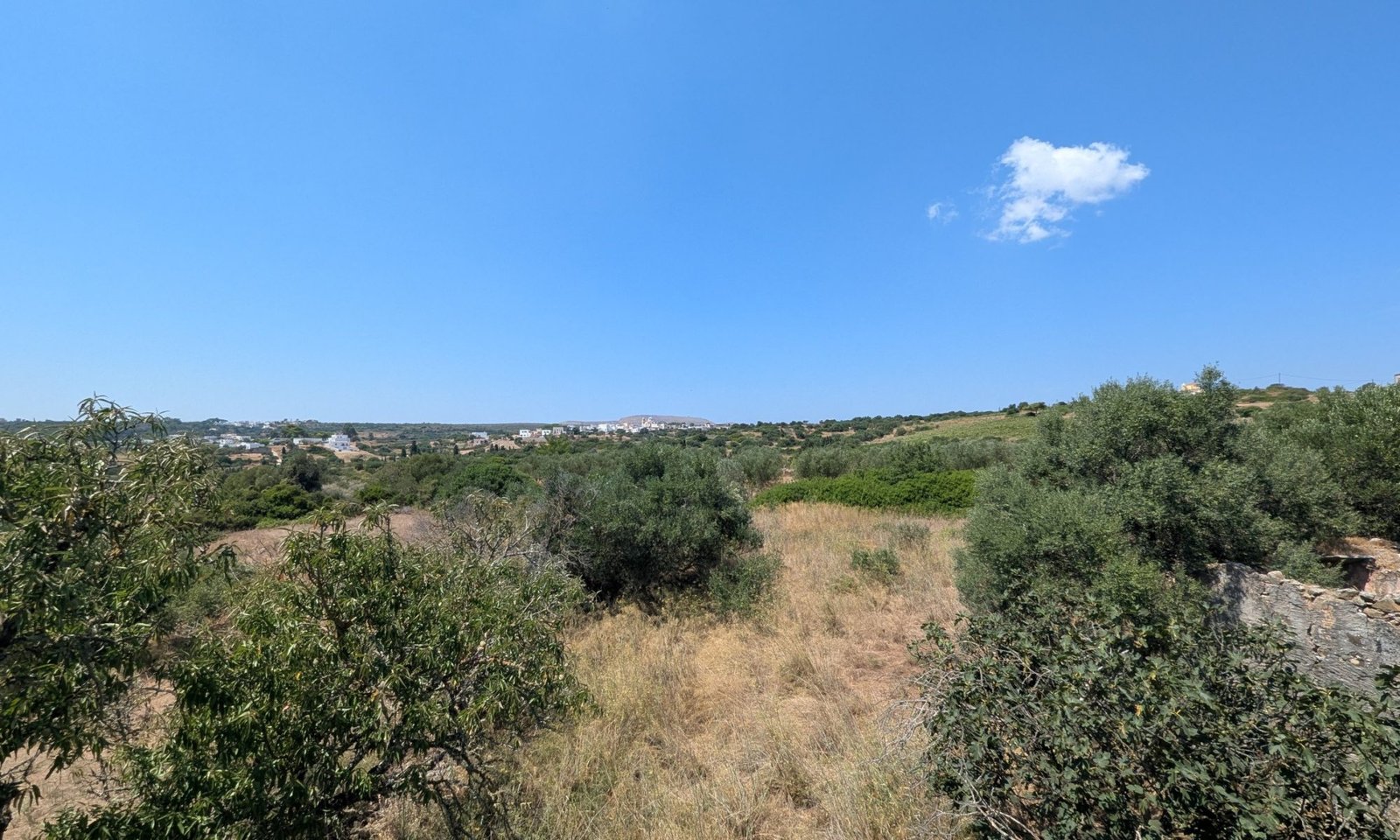 126T- Agios Ilias - old mansion (33) (Custom)