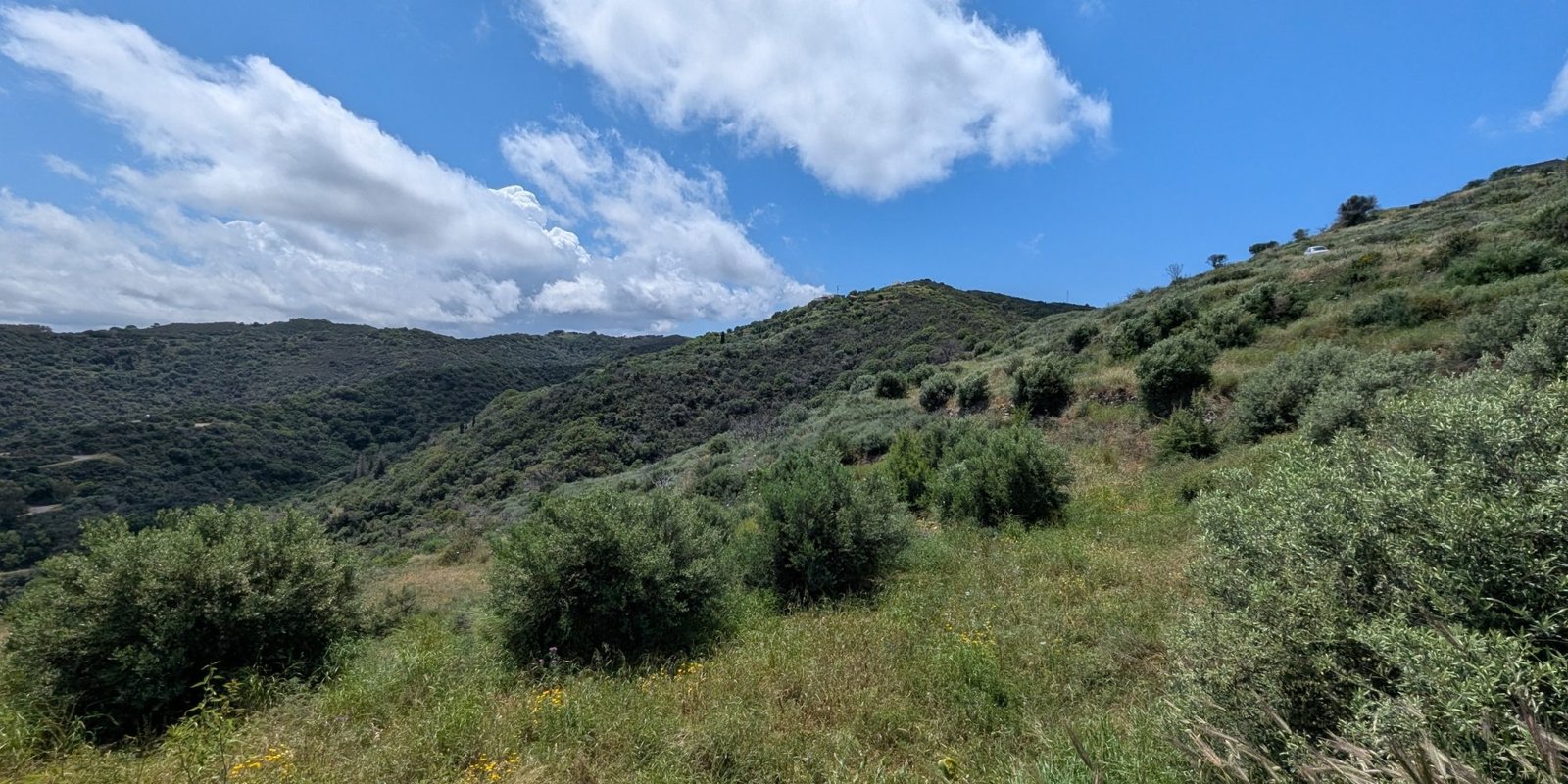 219A - Agia Anastasia - Building plot with sea view (4)