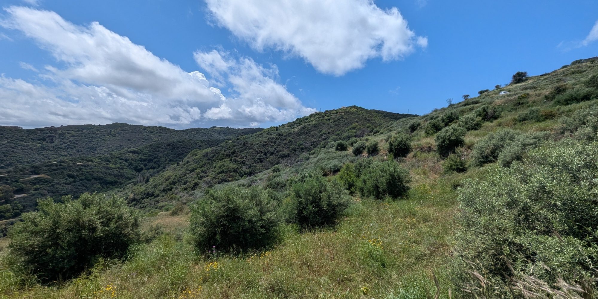 219A - Agia Anastasia - Building plot with sea view (5)