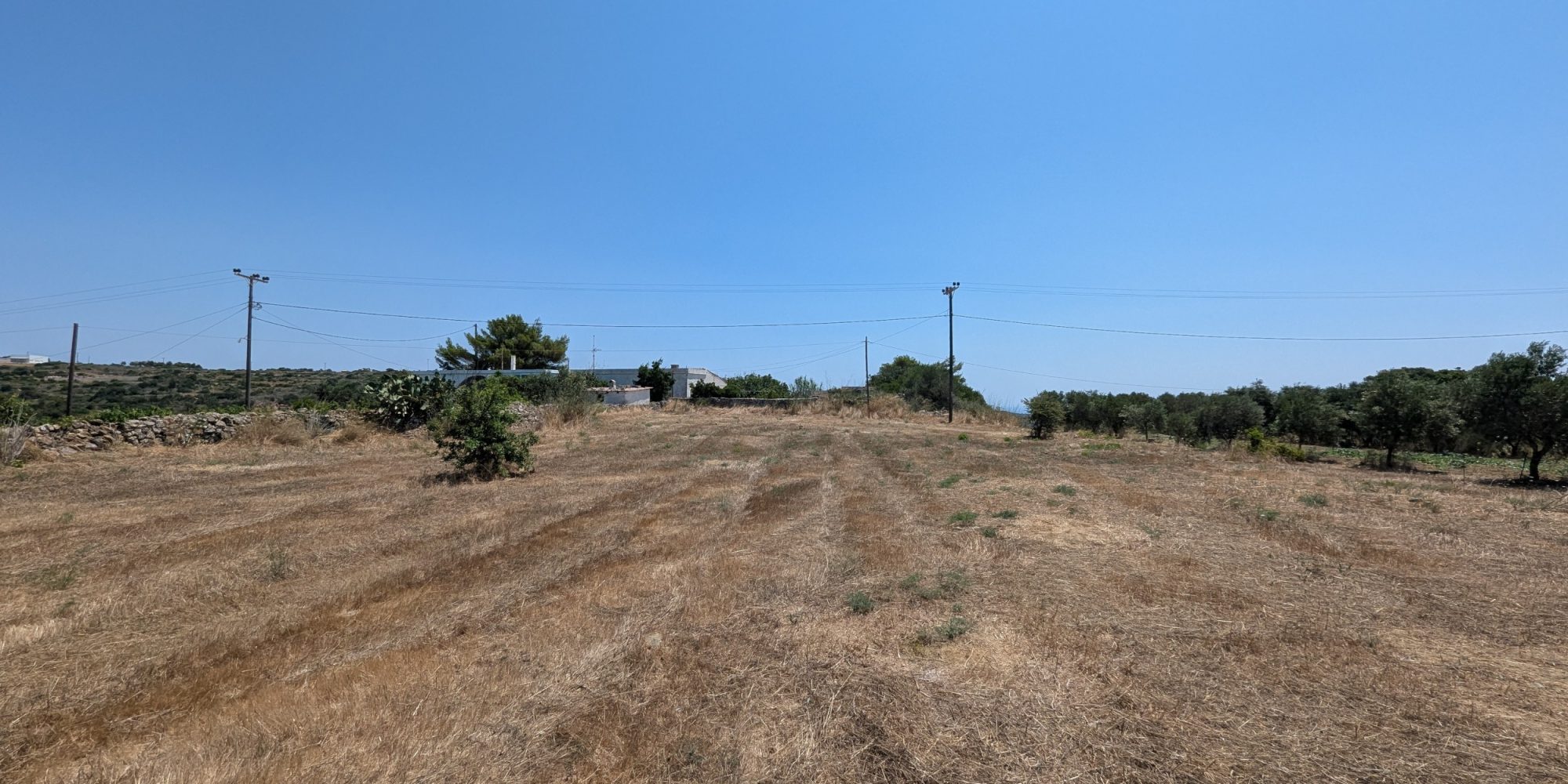 270A – Goudianika – Building plot inside village boundaries (2)
