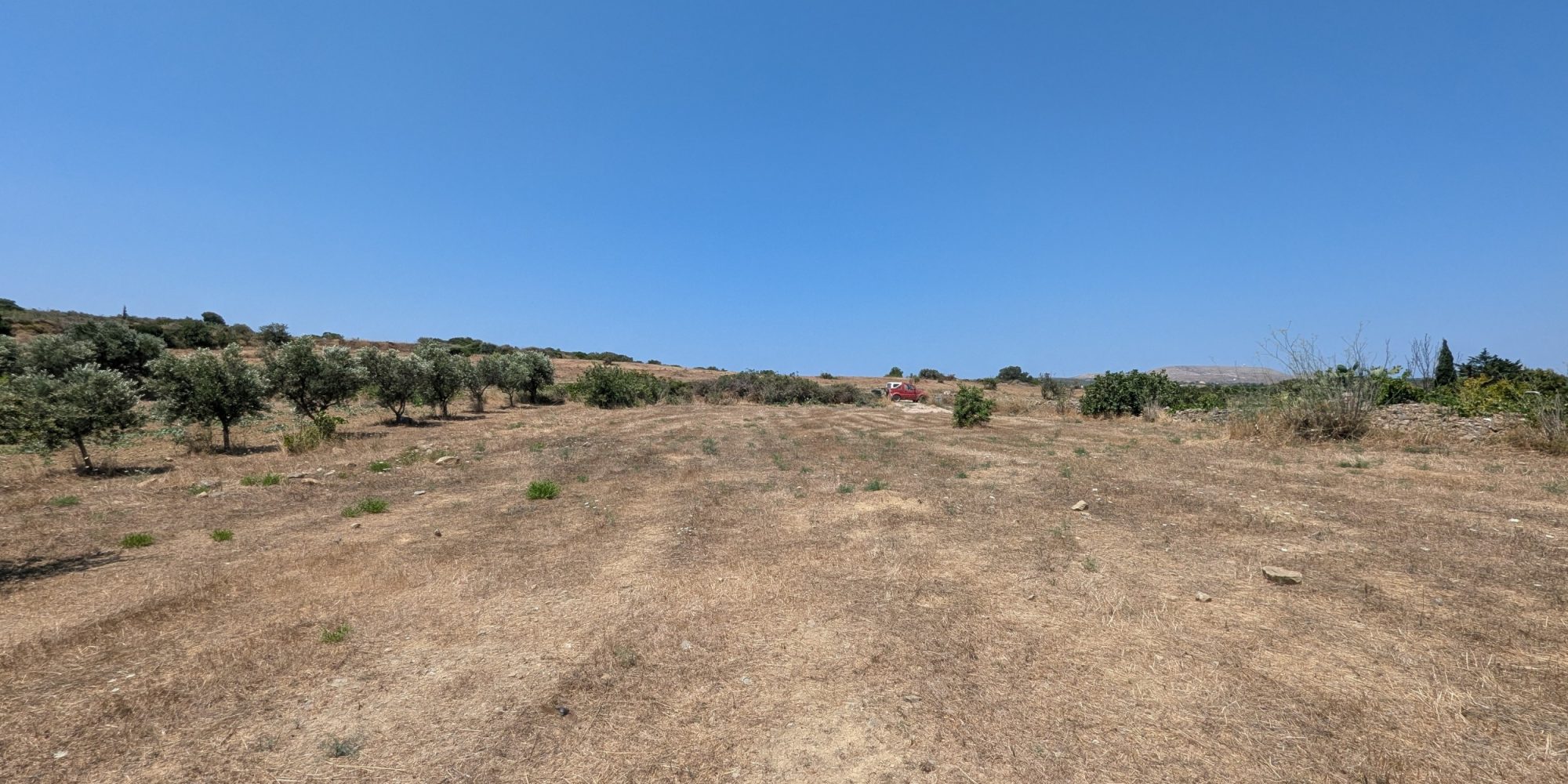 270A – Goudianika – Building plot inside village boundaries (5)