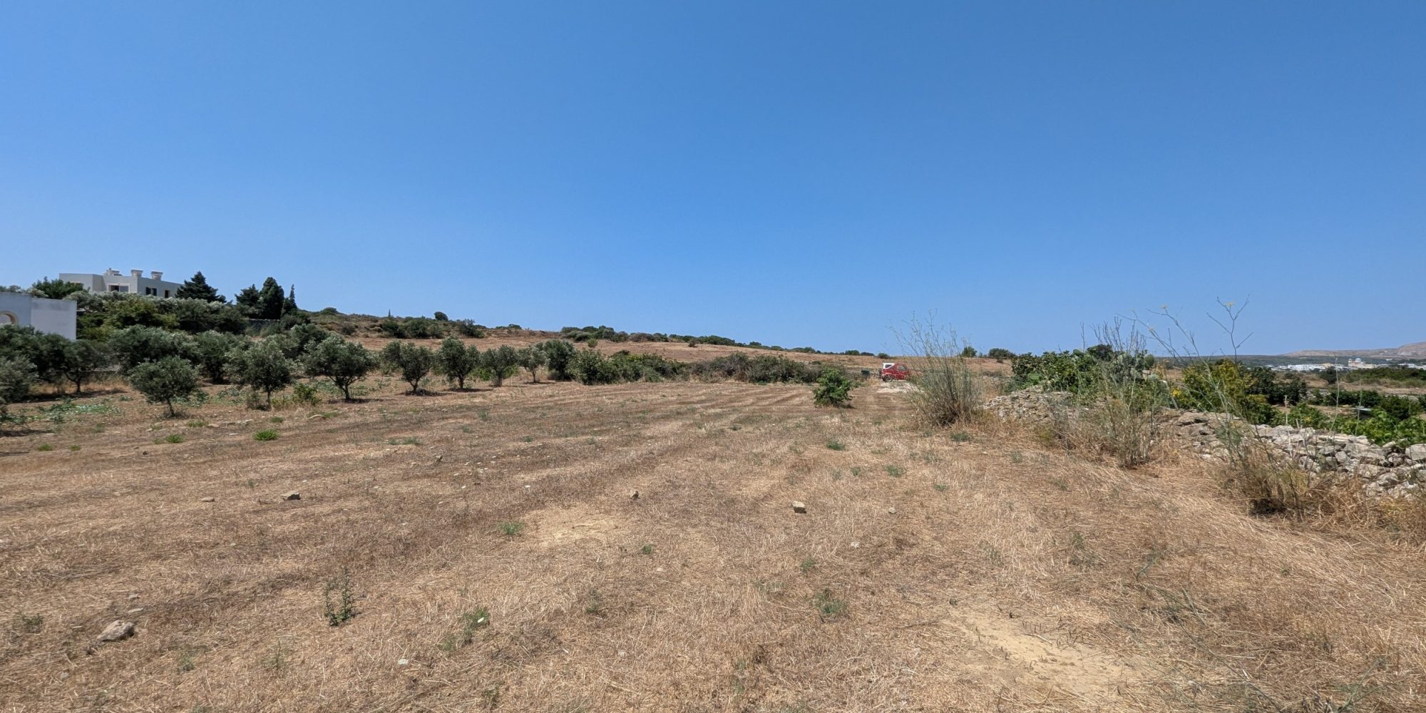 270A – Goudianika – Building plot inside village boundaries (6)