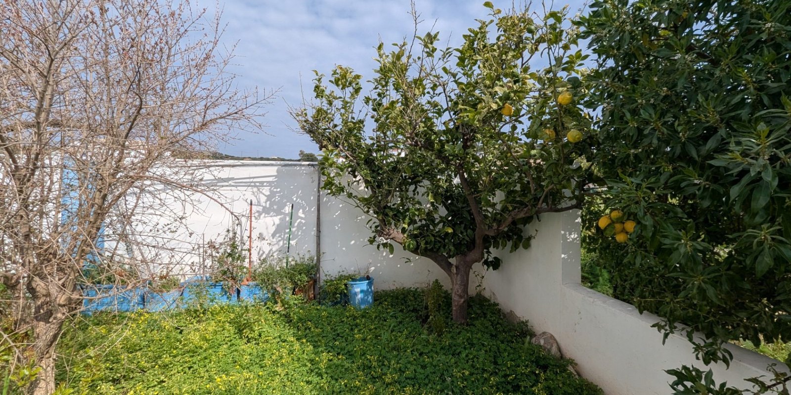 280A - Agia Pelagia - Family home or rental accommodation near the sea (6)