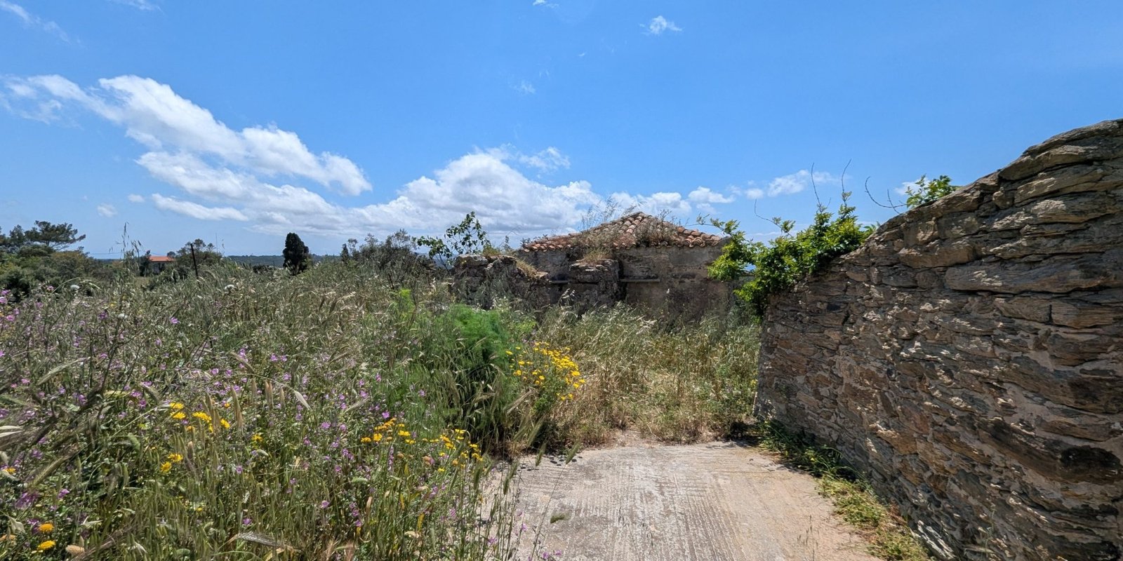 282T - Gerakari - Renovation project building plot in quiet village (3)