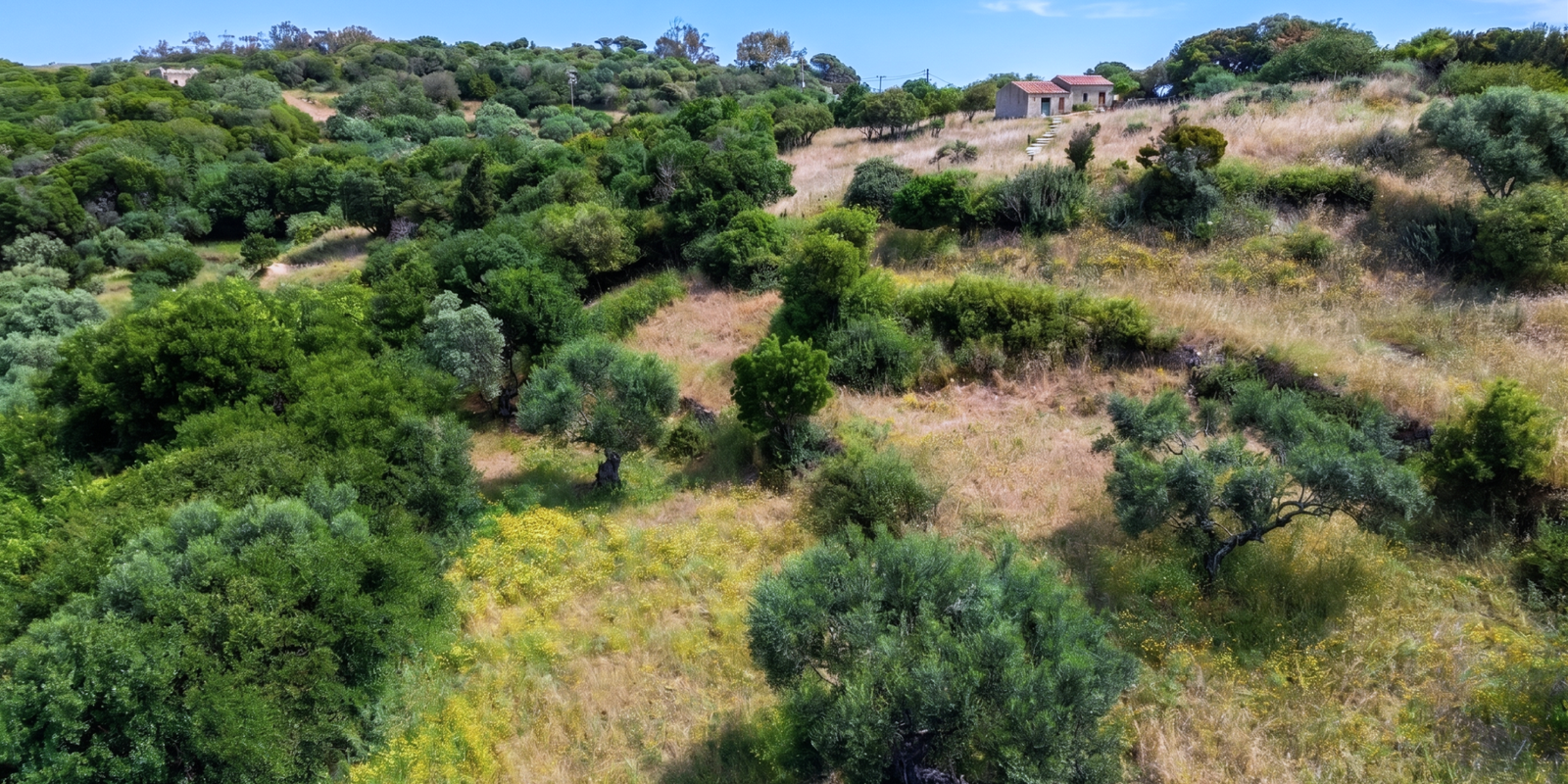 286A - Potamos -Charming plot with permit for traditional house (4)