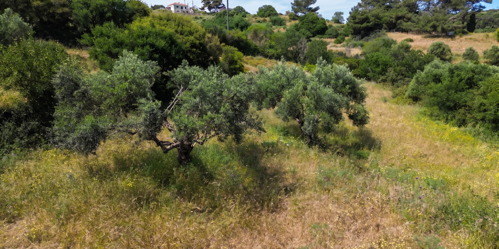 286A - Potamos -Charming plot with permit for traditional house (6)