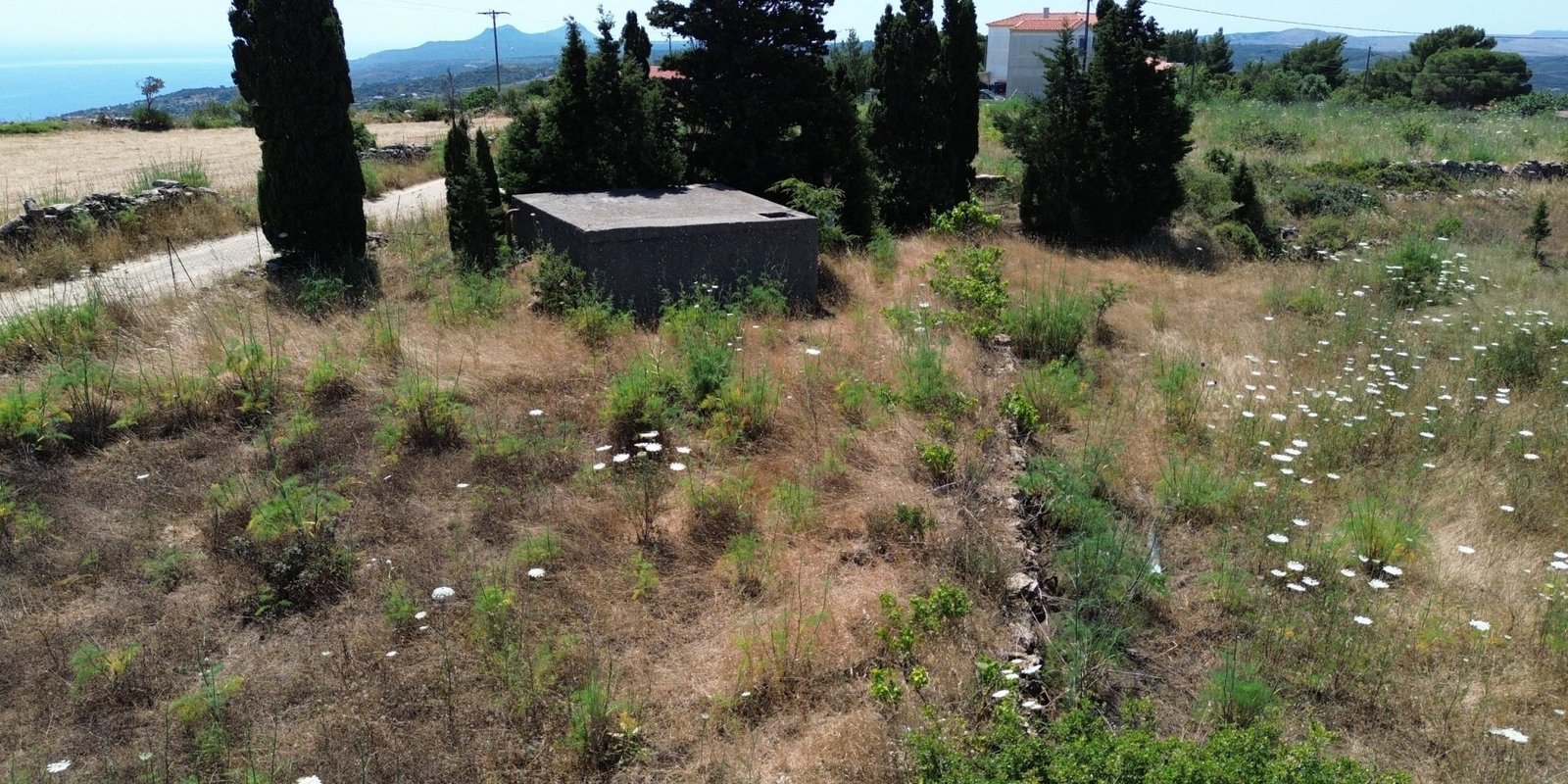 DCIM100MEDIADJI_0562.JPG