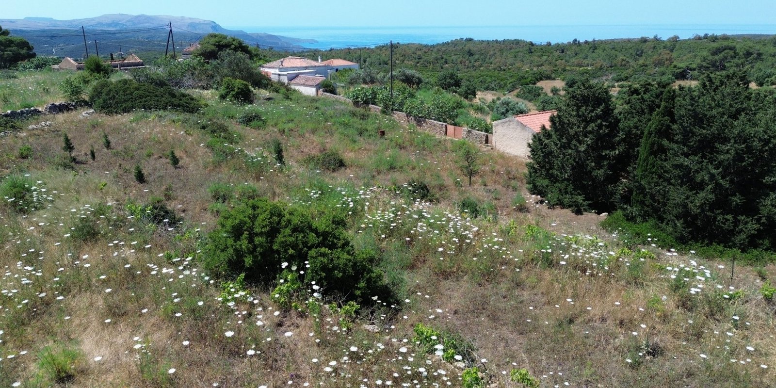 DCIM100MEDIADJI_0557.JPG