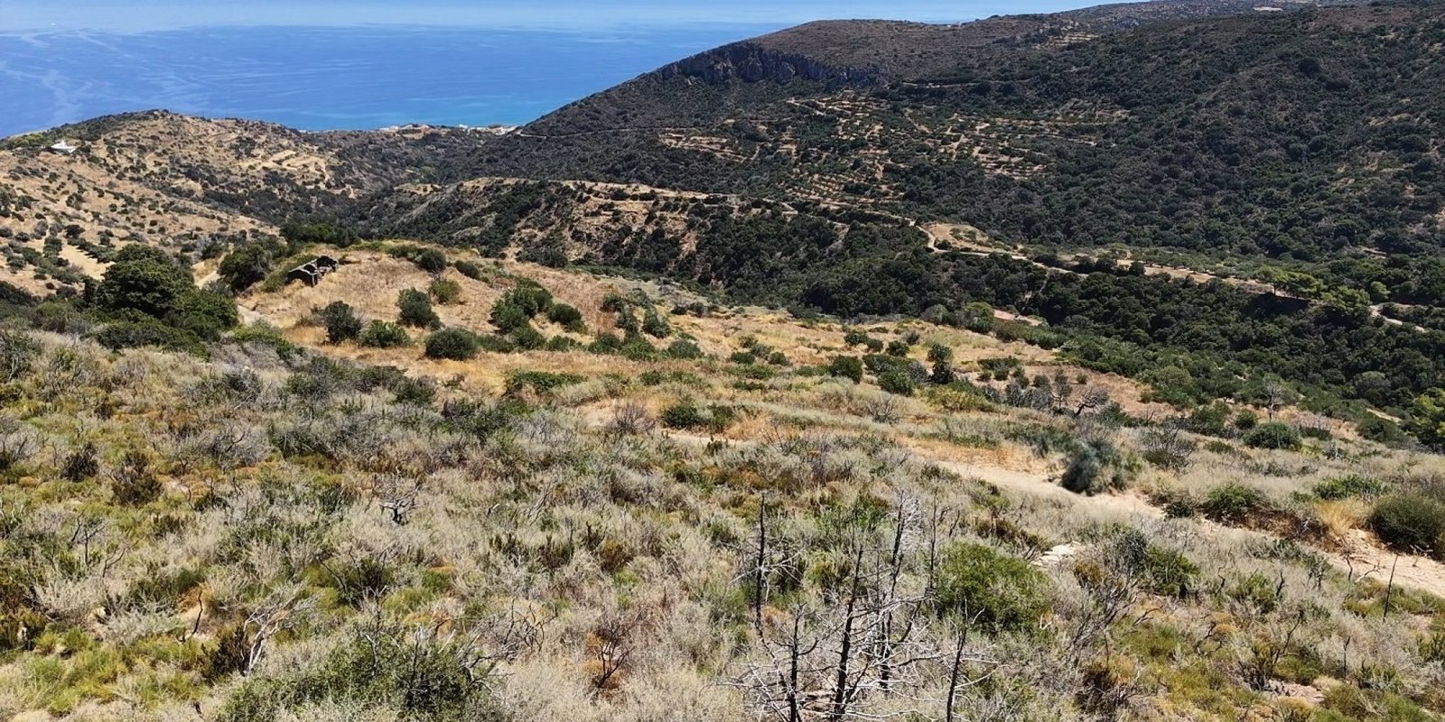 303A - Agia Anastasia - Plot with spectacular view (2) (Custom)