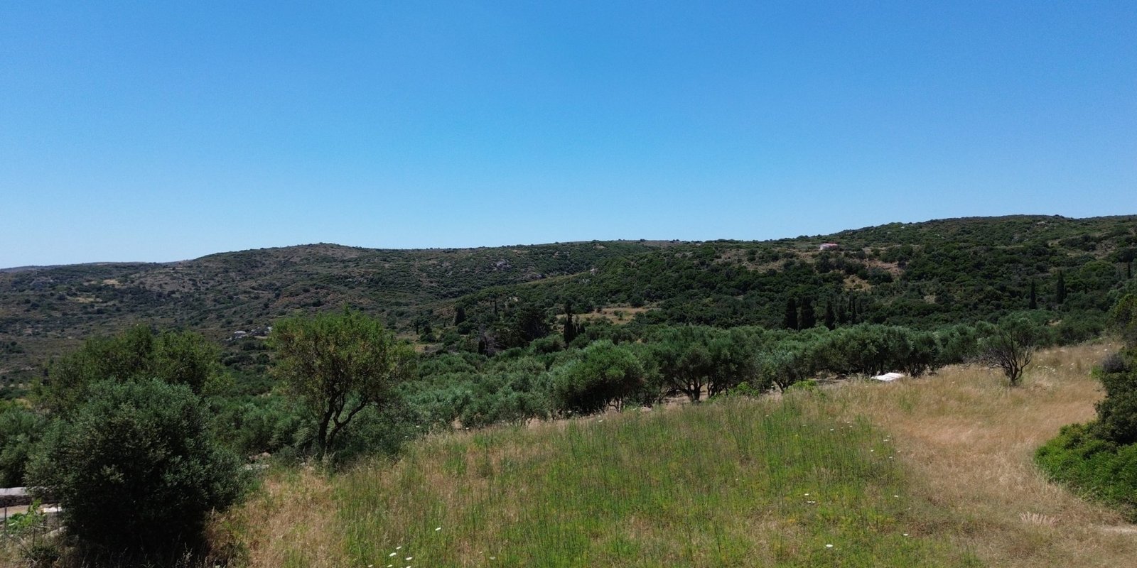 DCIM100MEDIADJI_0621.JPG