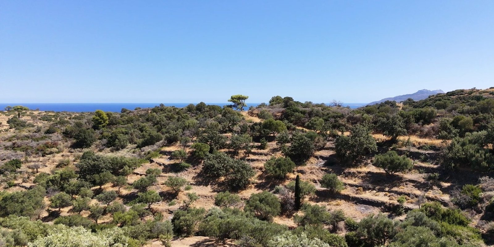 311A - Karavas - Building plot with sea view inside village boundaries (12) (Custom)