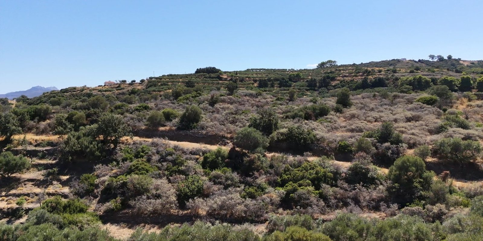 311A - Karavas - Building plot with sea view inside village boundaries (13) (Custom)