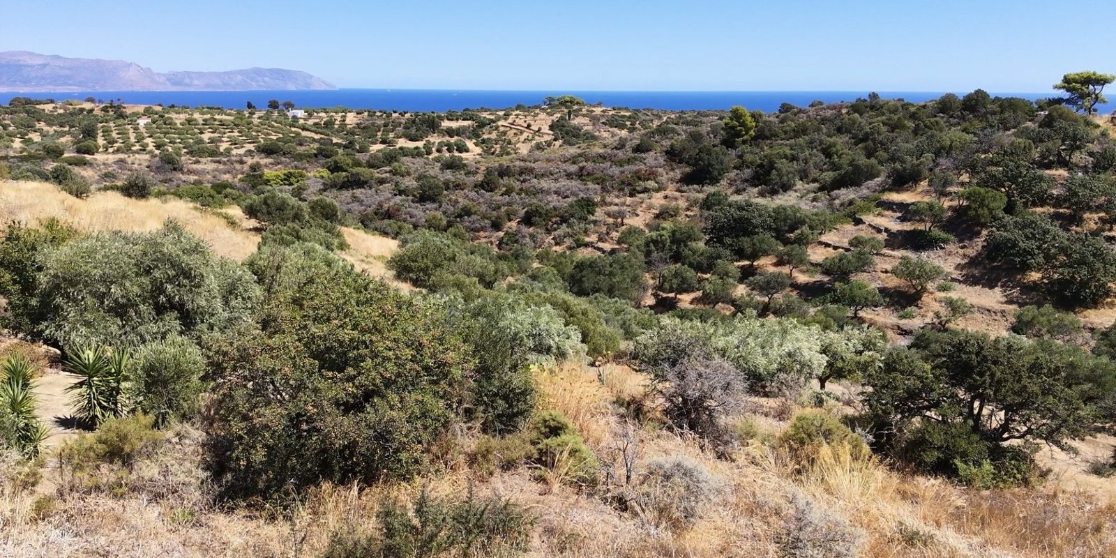 311A - Karavas - Building plot with sea view inside village boundaries (7) (Custom)