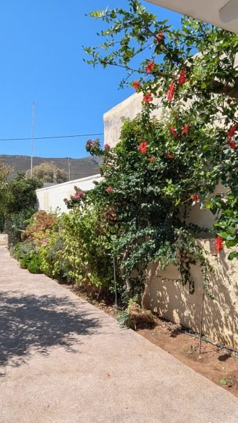 312A - Amazing beachfront traditional stone house (19) (Custom)