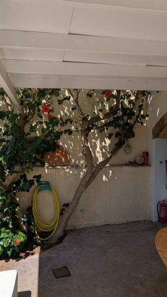 312A - Amazing beachfront traditional stone house (20) (Custom)
