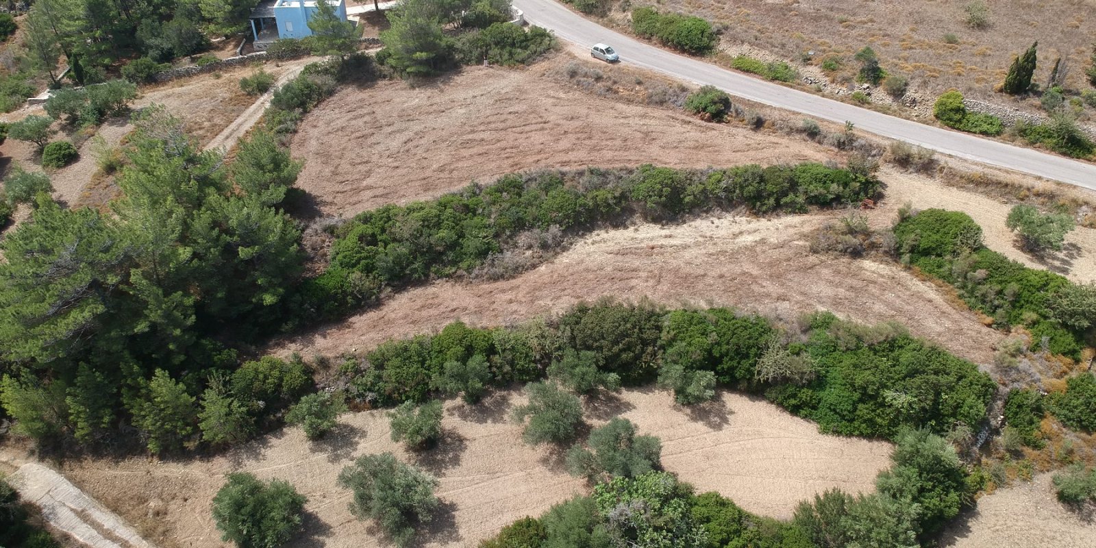 DJI_0244