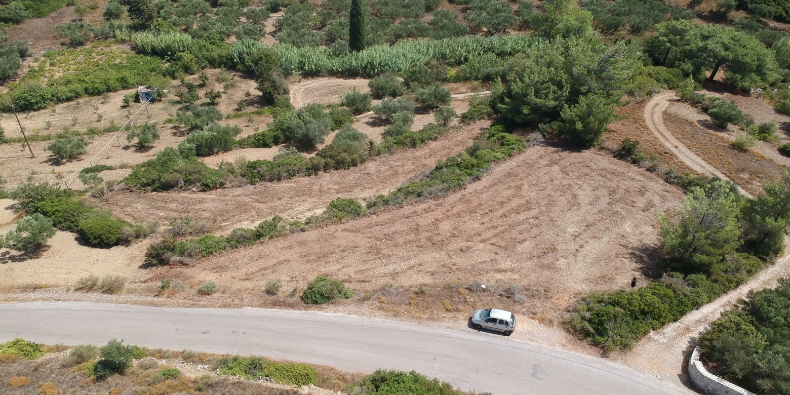 DJI_0250