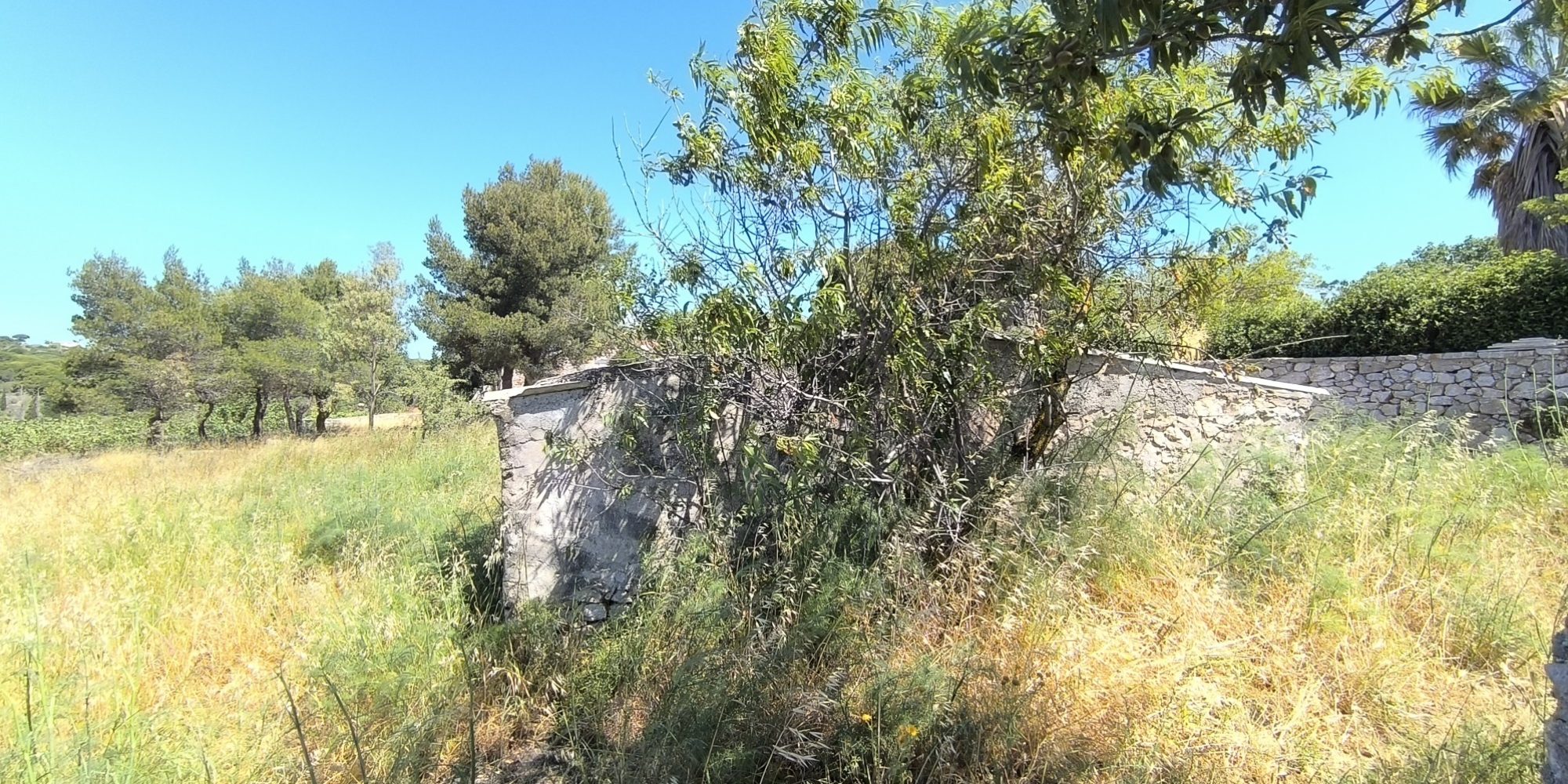 Frilingianika building plot with small building (7) (Custom)