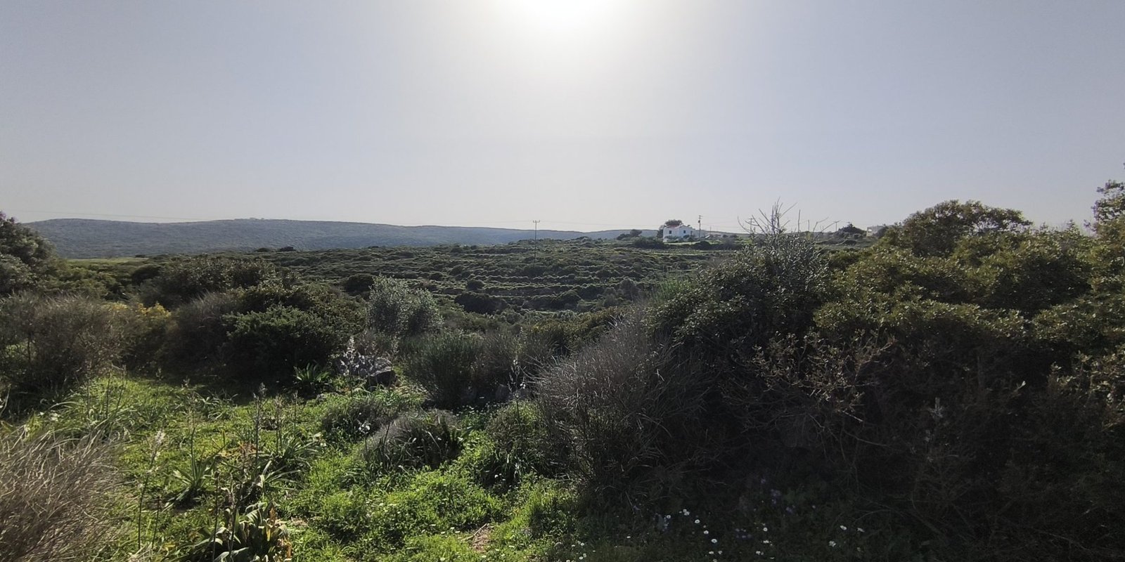 Frilingianika - land for sale (4) (Custom)