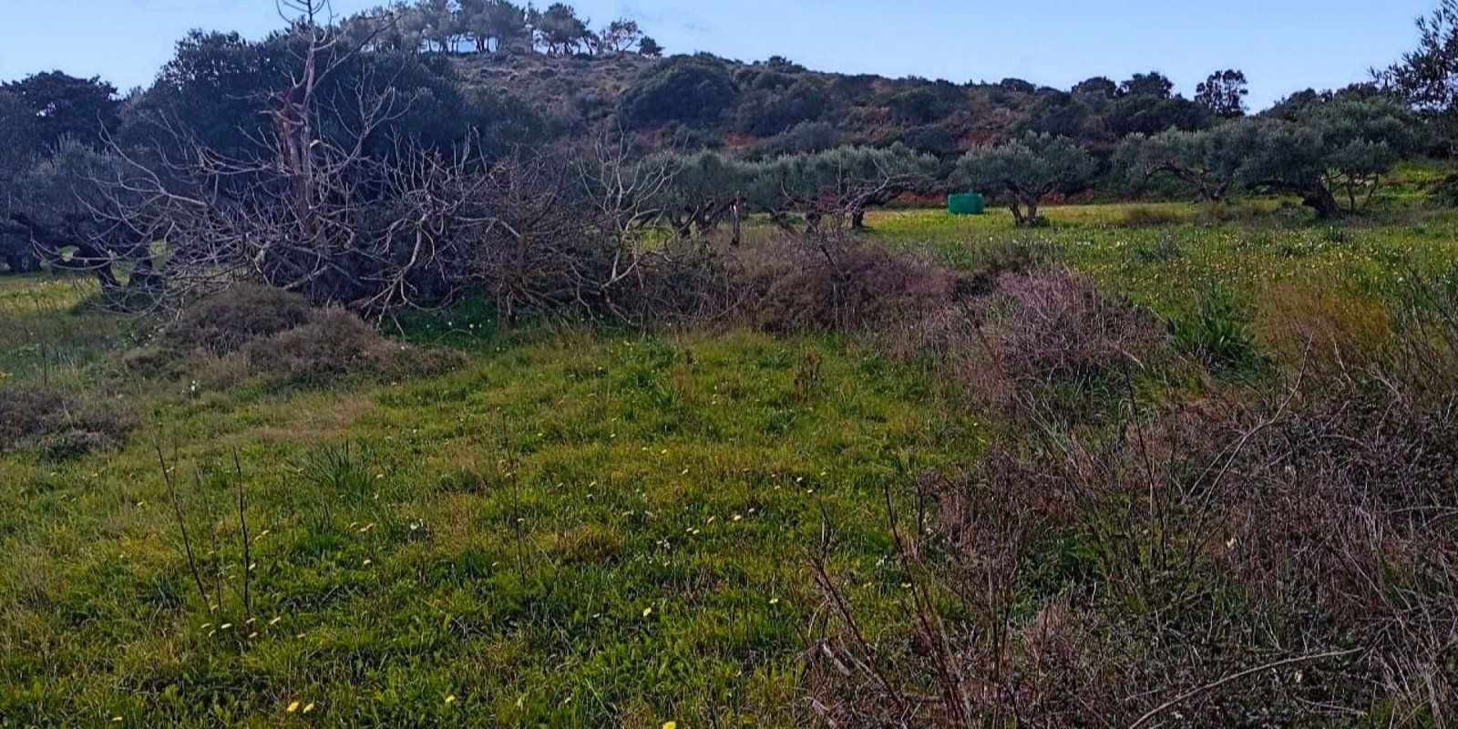 Kalamos - building plot app. 1.200 m2 (10)