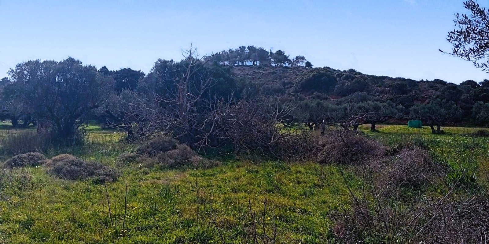 Kalamos - building plot app. 1.200 m2 (4)
