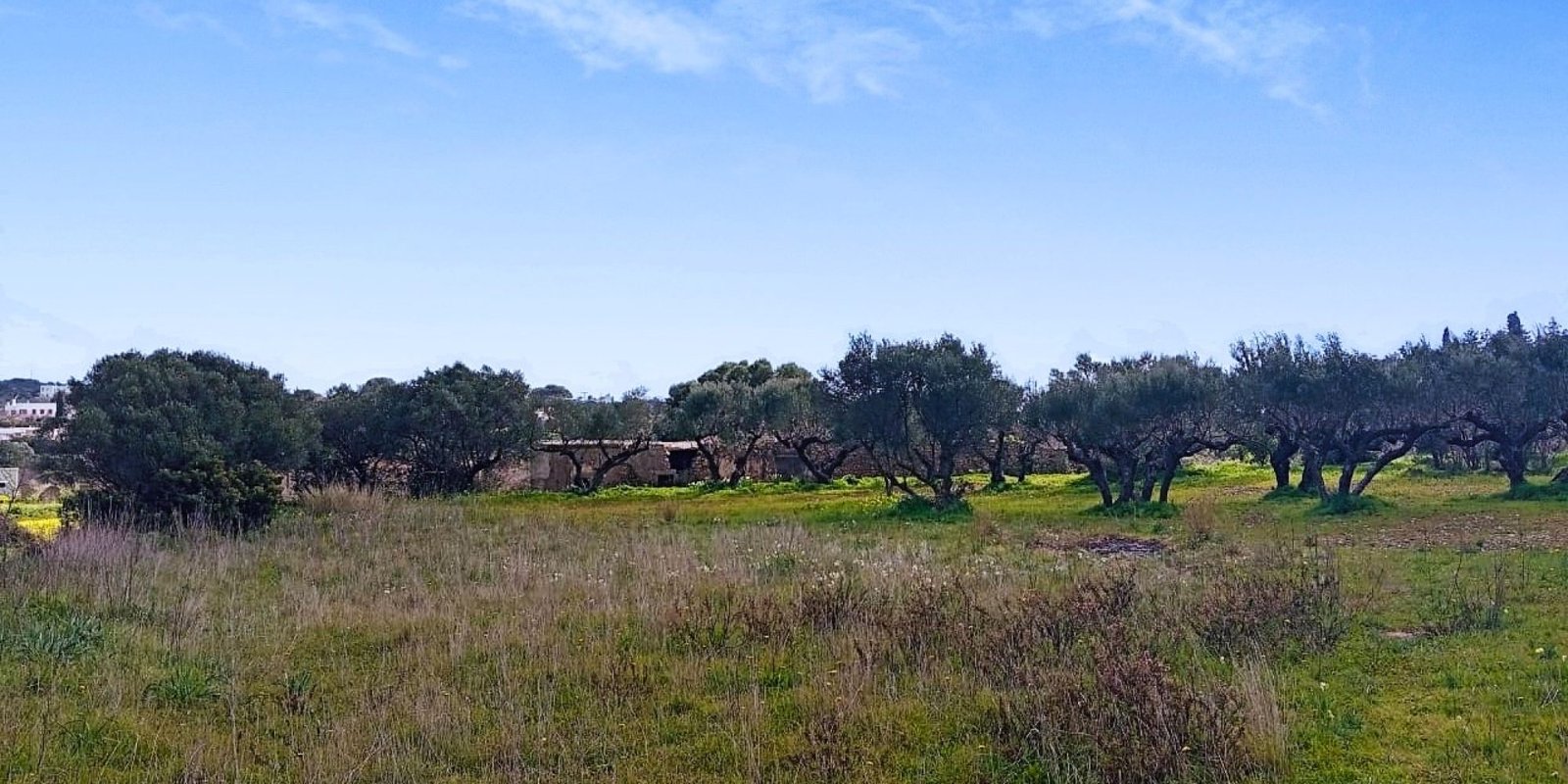 Kalamos - building plot app. 1.200 m2 (6)
