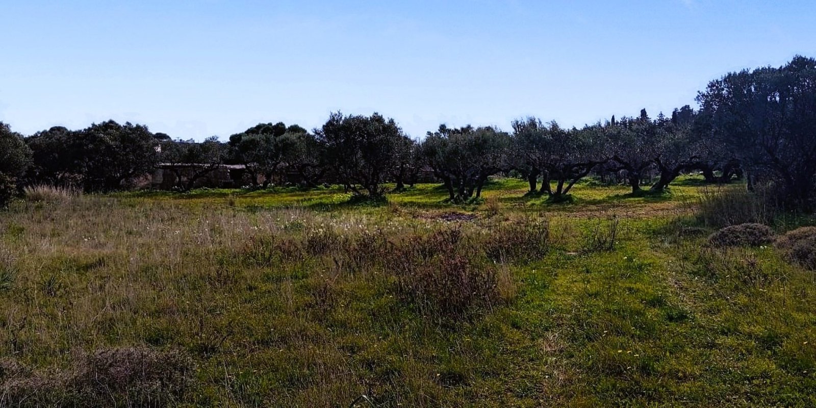 Kalamos - building plot app. 1.200 m2 (7)