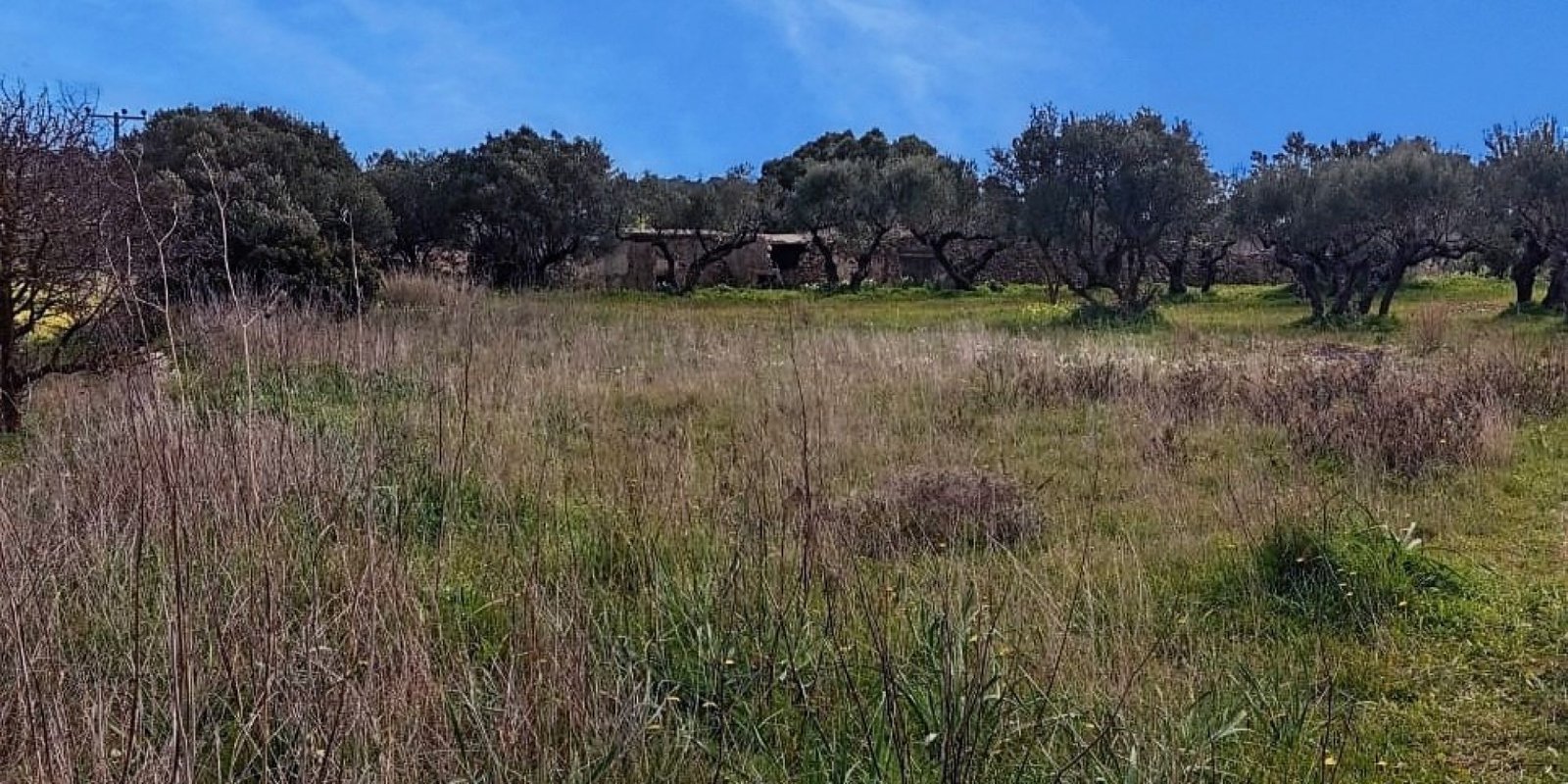 Kalamos - building plot app. 1.200 m2 (8)