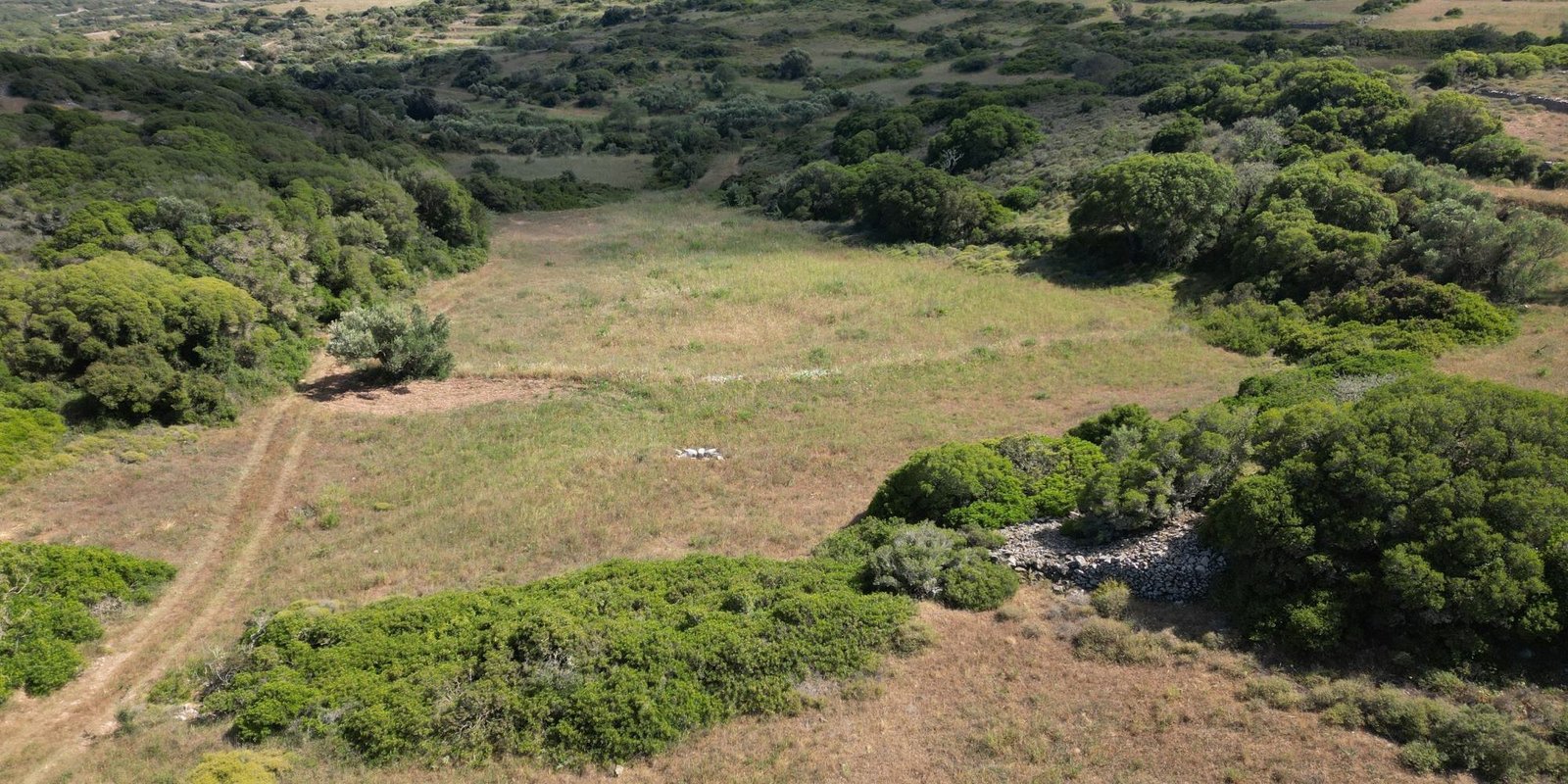 Kalokairines – Large buildingplot with olive trees (1)