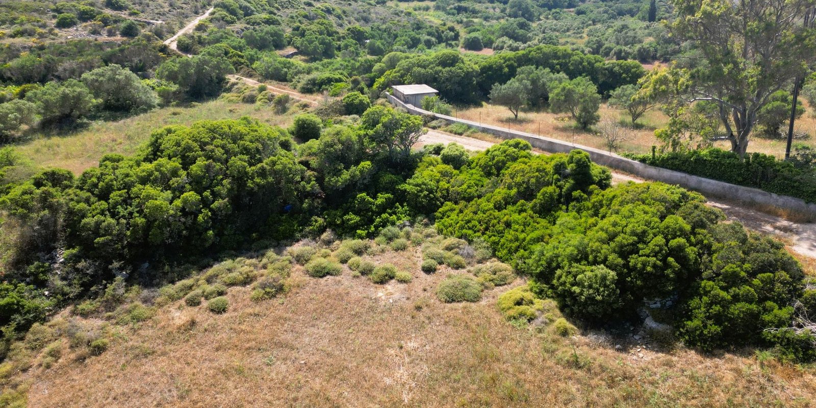 Kalokairines – Large buildingplot with olive trees (2)