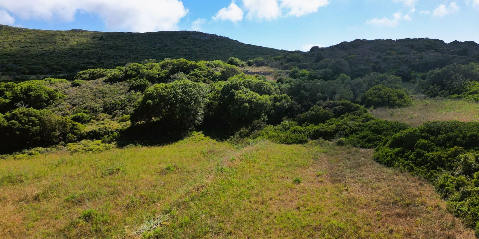 Kalokairines – Large buildingplot with olive trees (3)