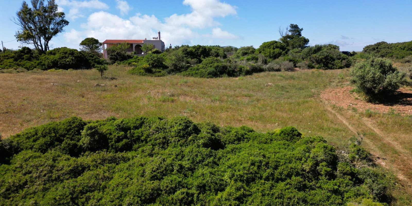 Kalokairines – Large buildingplot with olive trees (4)