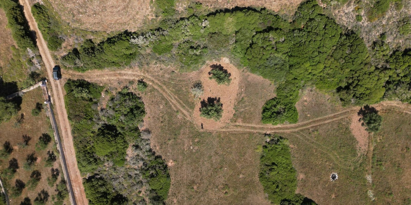 Kalokairines – Large buildingplot with olive trees (5)