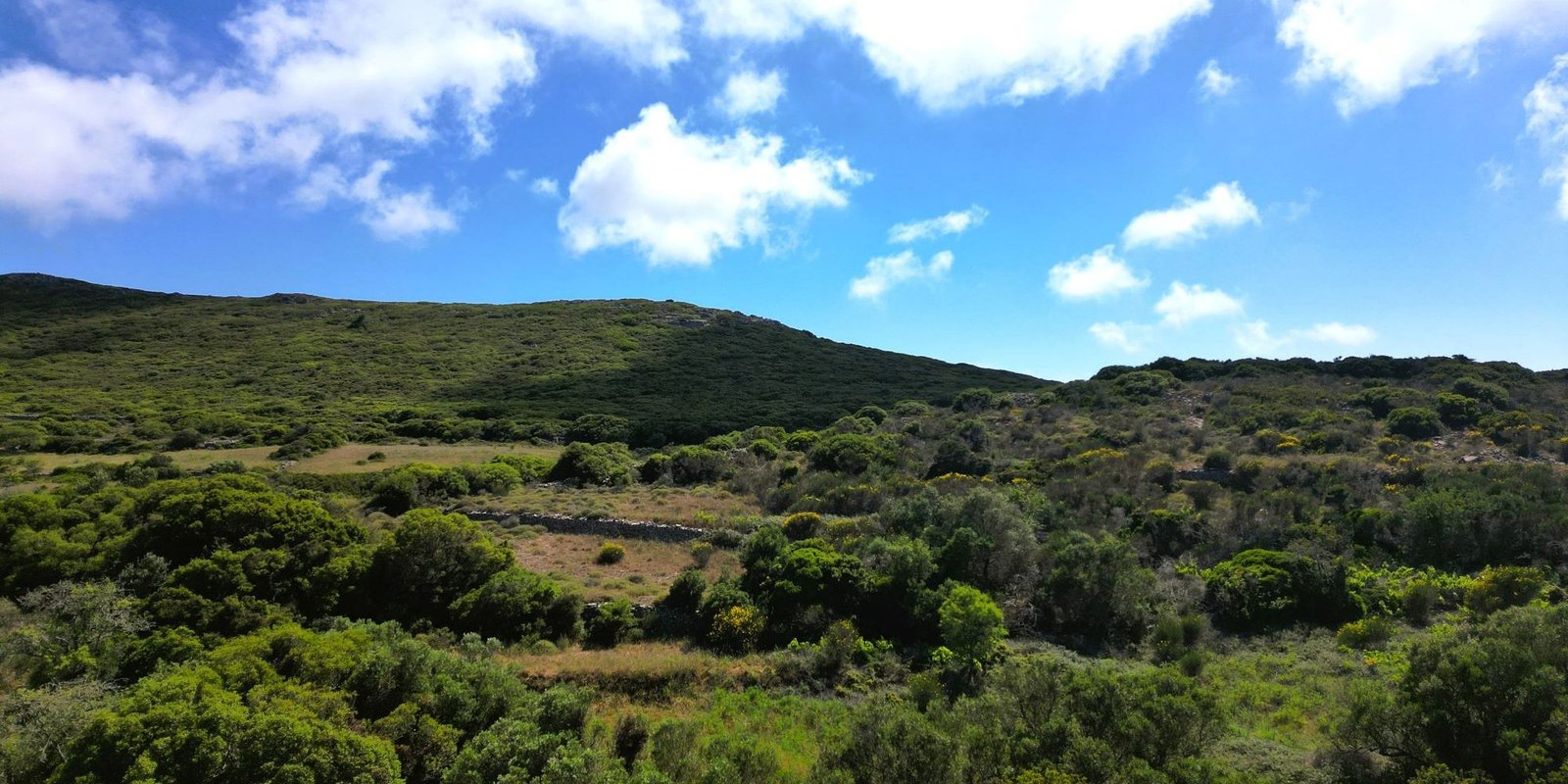 Kalokairines – Large buildingplot with olive trees (6)