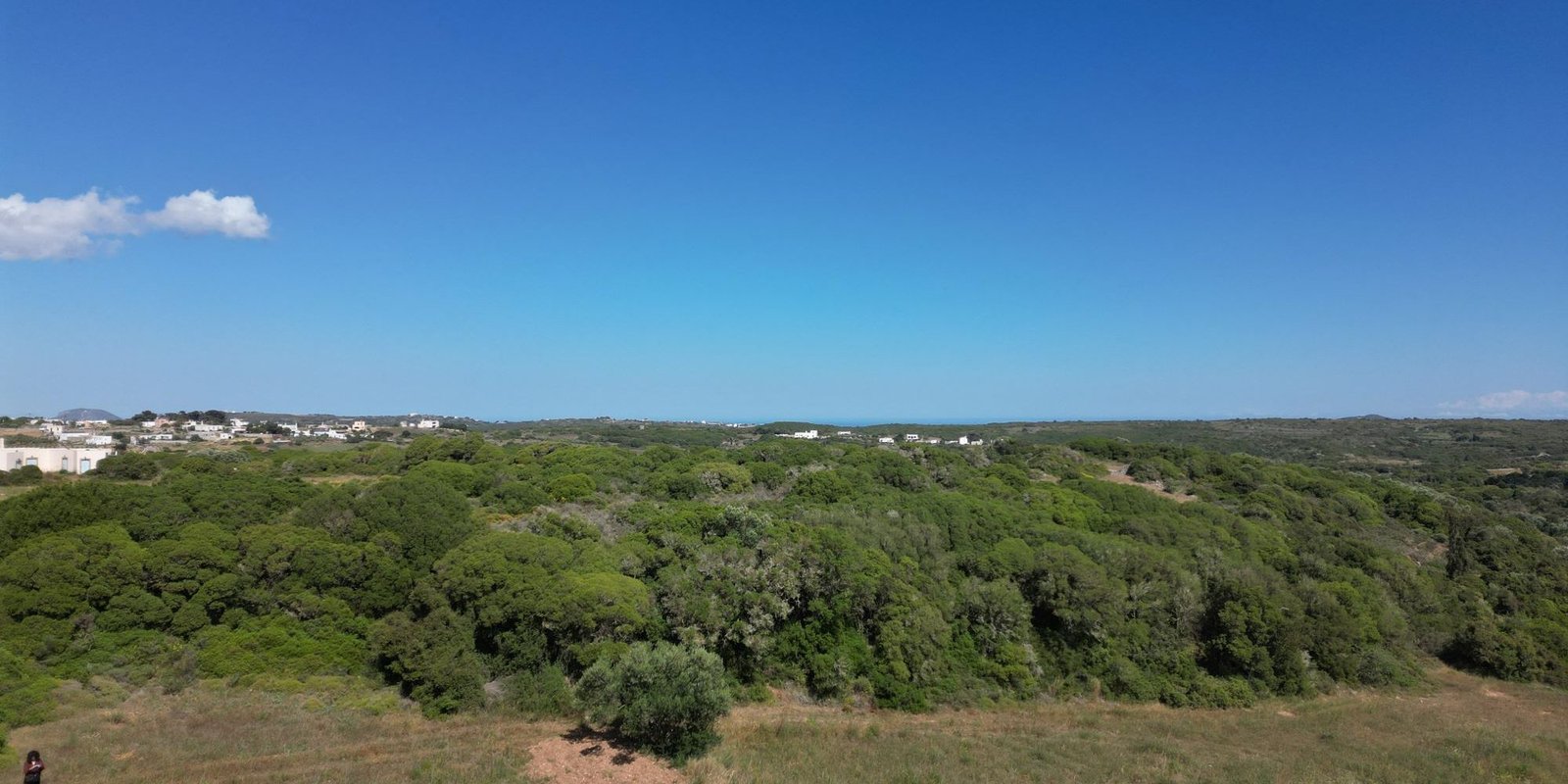 Kalokairines – Large buildingplot with olive trees (7)