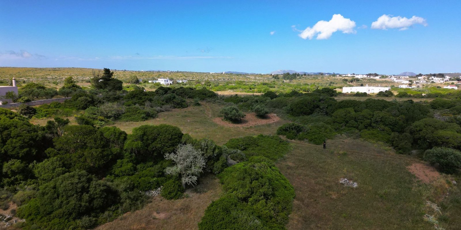 Kalokairines – Large buildingplot with olive trees (8)