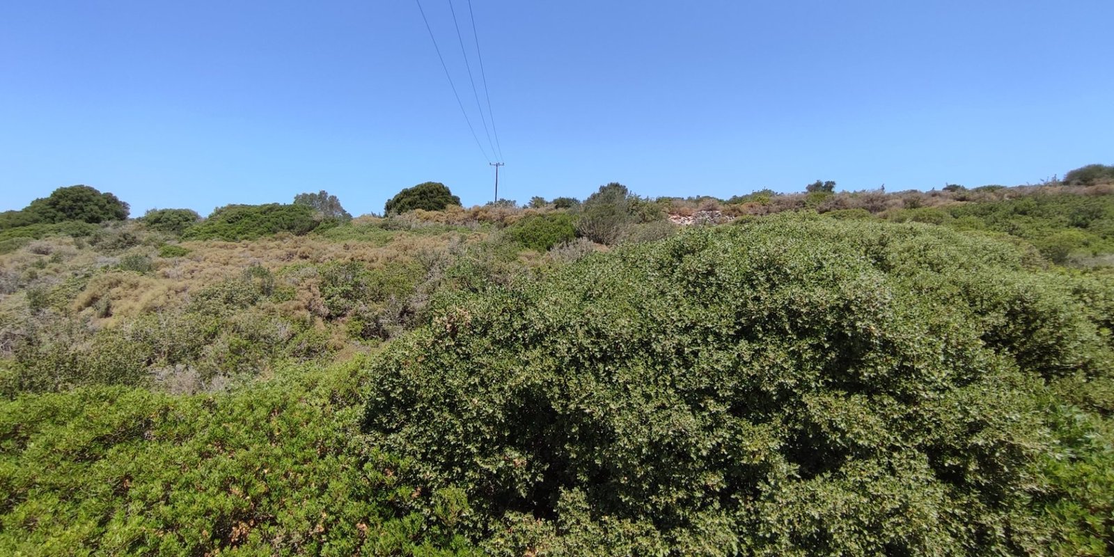 Karvounades - Agios Nikolaos land for sale (2)