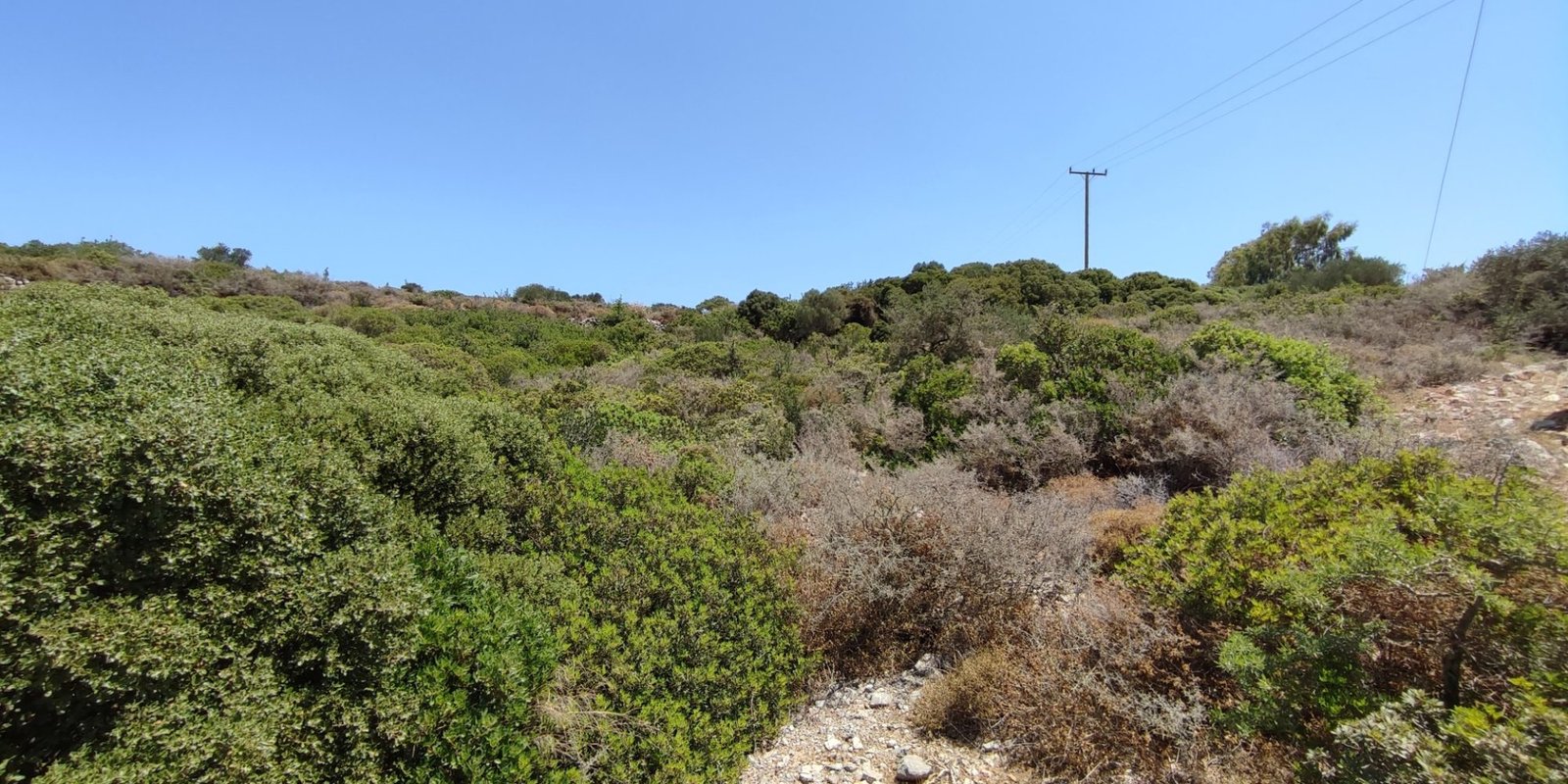 Karvounades - Agios Nikolaos land for sale (3)