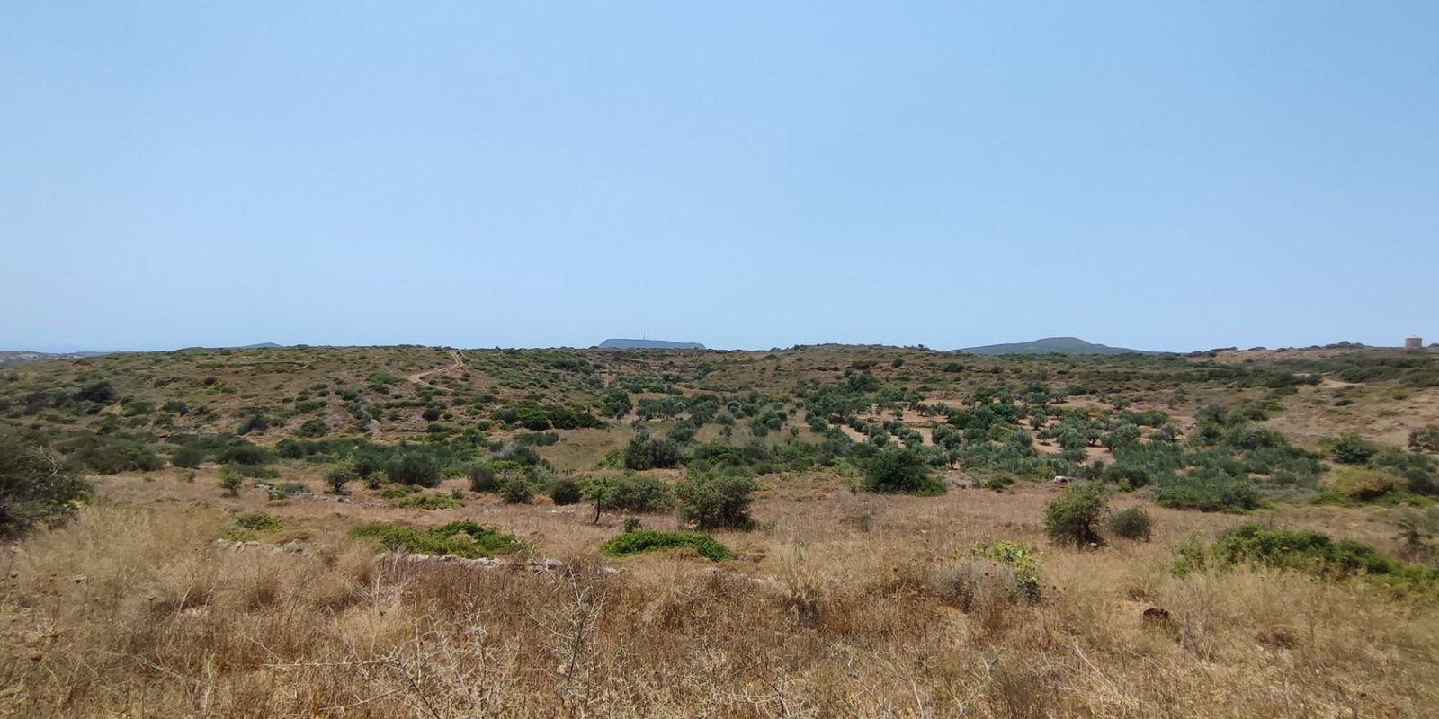 Karvounades plot for sale (3)