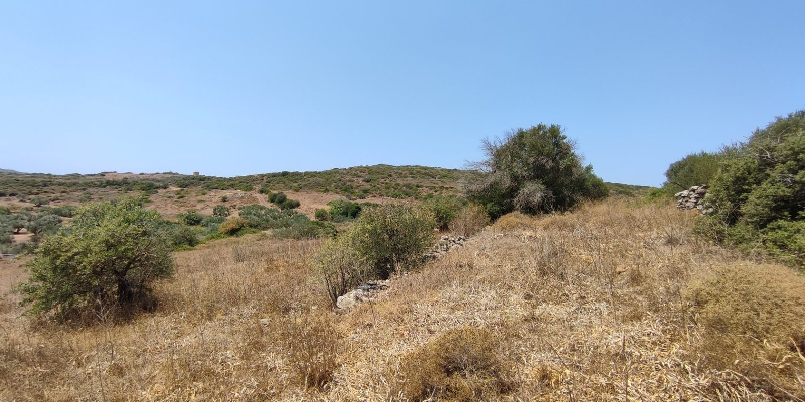 Karvounades plot for sale (6)