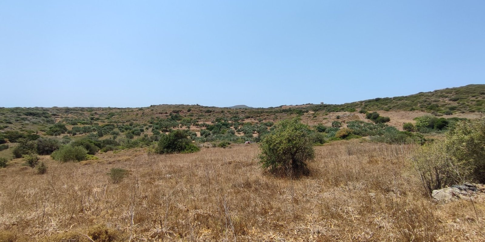 Karvounades plot for sale (7)