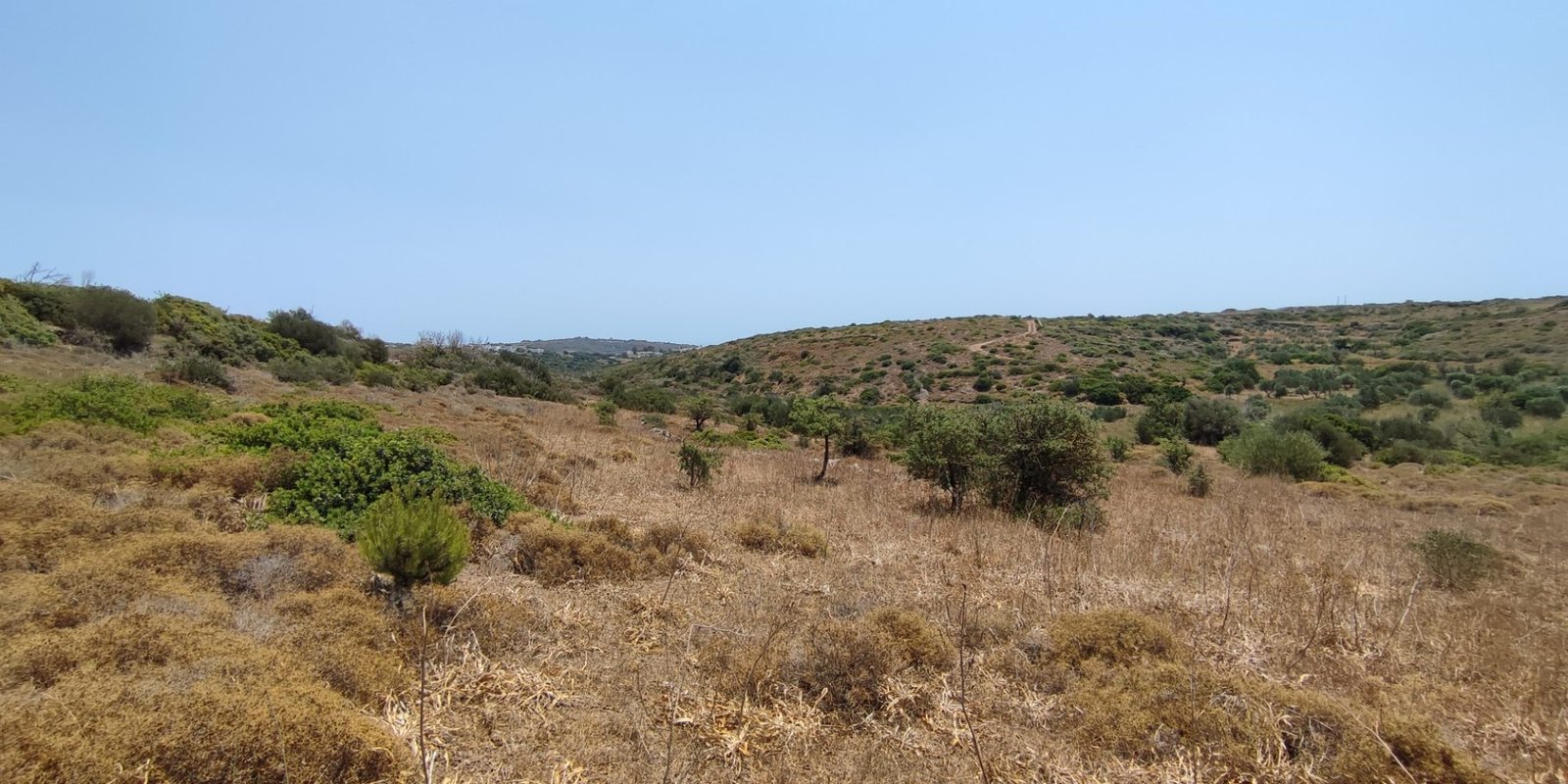 Karvounades plot for sale (8)