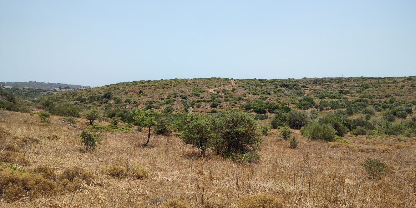 Karvounades plot for sale (9)