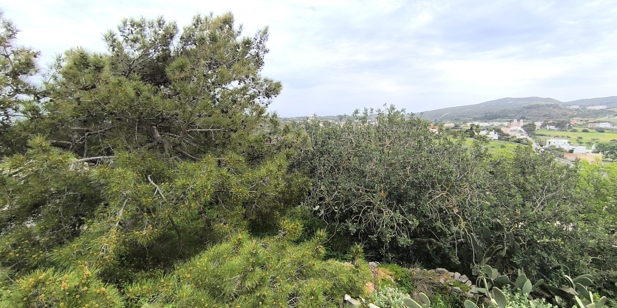 Katouni - Large building plot (1)