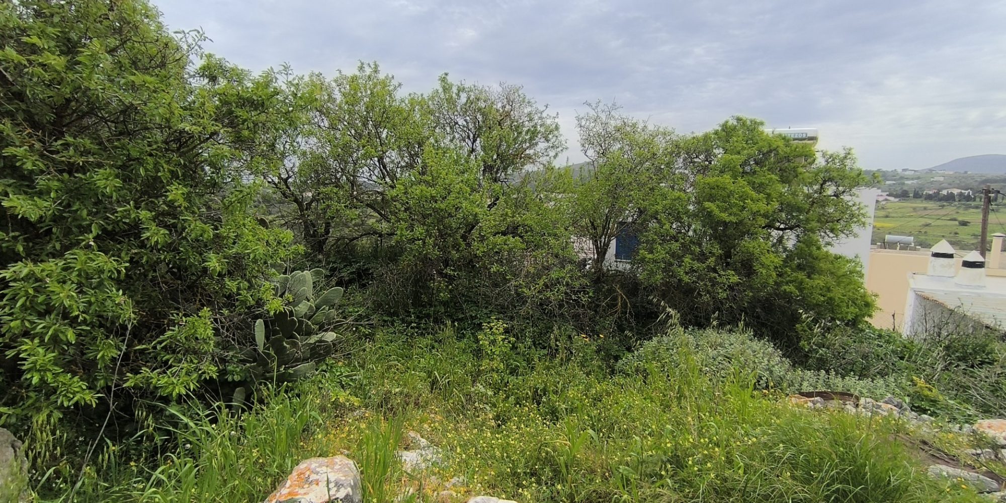 Katouni - Large building plot (2)
